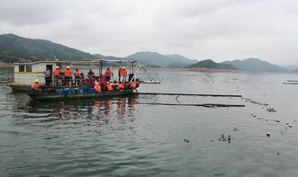 縣畜牧獸醫漁業局多措并舉 大力引導和扶持綠色畜牧業高質量發展