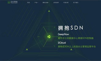 云杉網(wǎng)絡(luò)完成1100萬(wàn)美元B輪融資，引領(lǐng)國(guó)內(nèi)SDN技術(shù)服務(wù)新浪潮